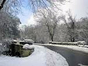 Cherokee Park in the Snow